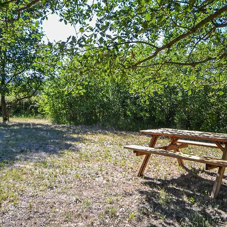 1 Bedroom Pet Friendly In *